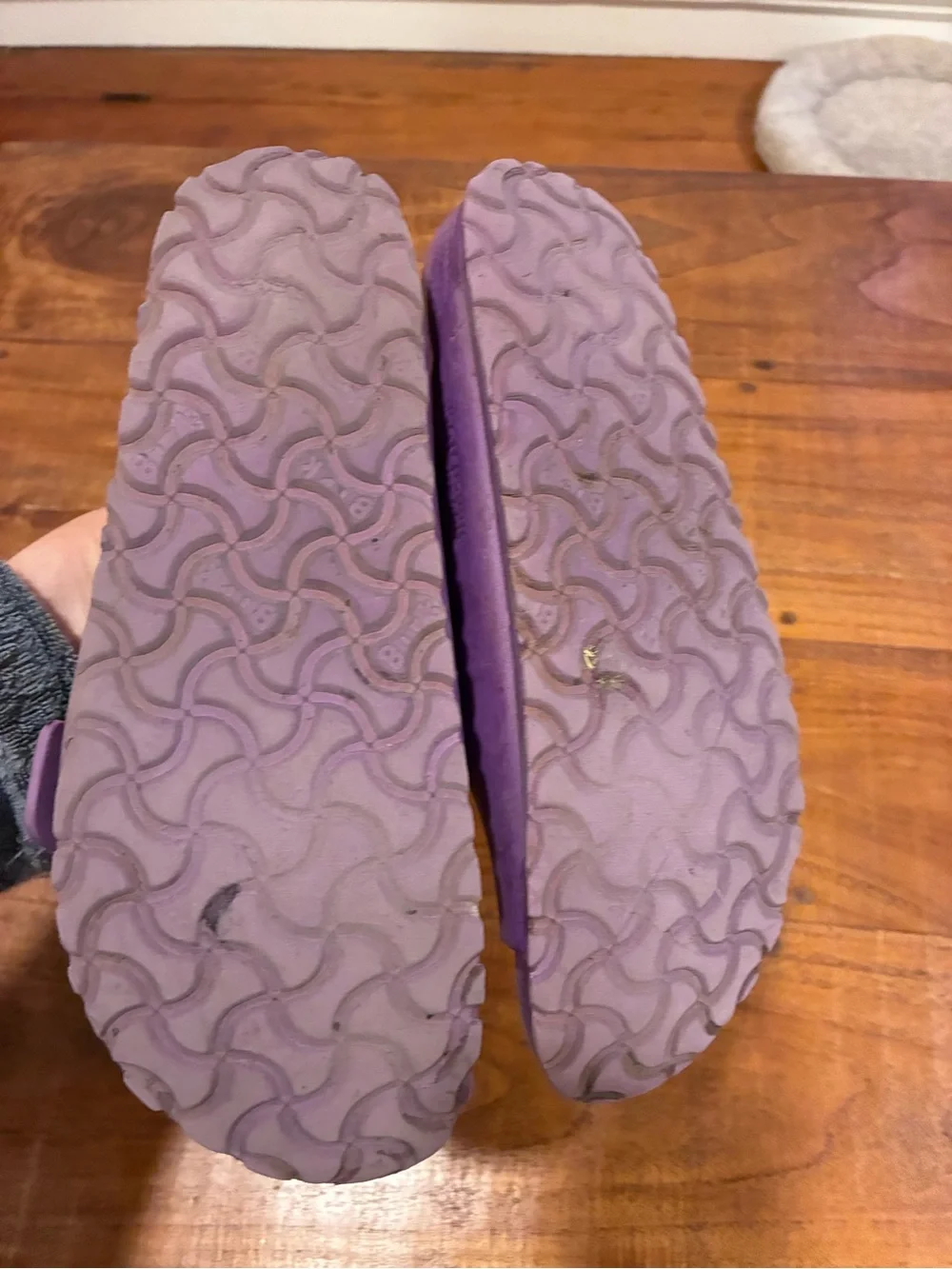 Birkenstock Sandals Arizona Essentials Special EVA Violet EU38/US8